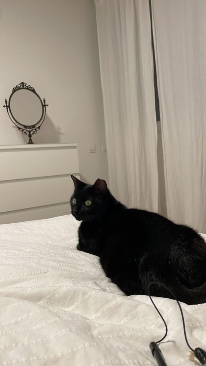 multimedia-foto77275-245-1