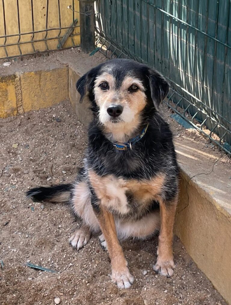 multimedia-foto77283-629-1