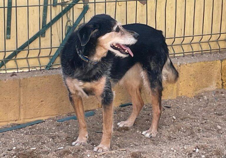 multimedia-foto77284-629-1