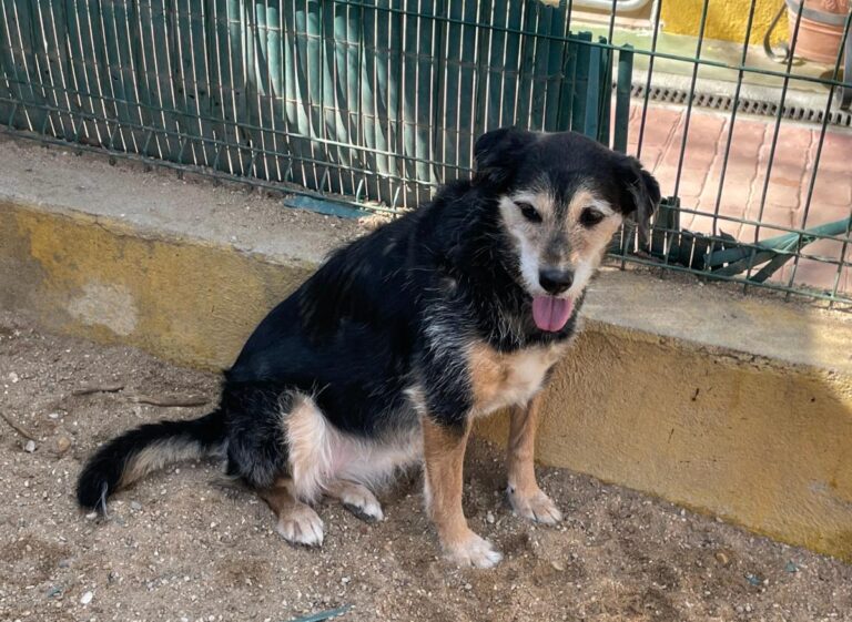 multimedia-foto77285-629-1