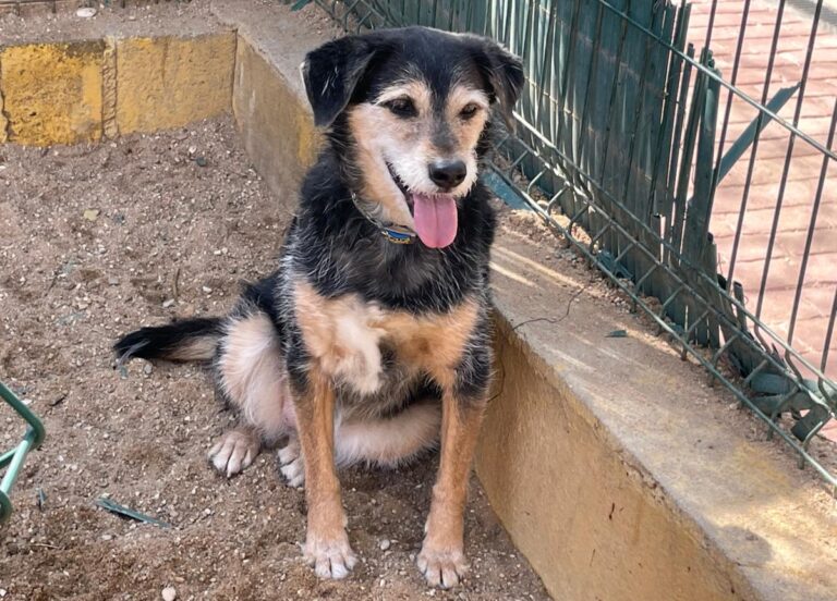 multimedia-foto77287-630-1