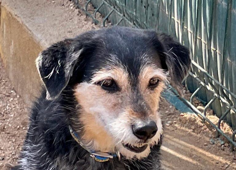 multimedia-foto77288-630-1