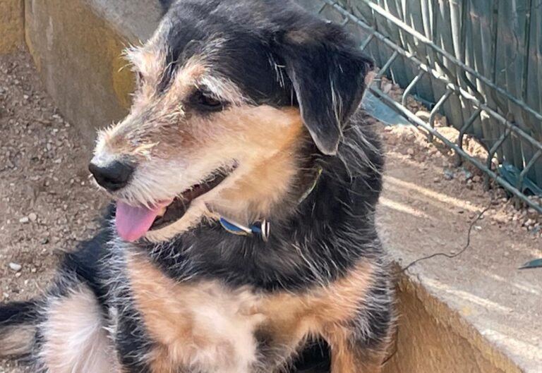 multimedia-foto77289-630-1