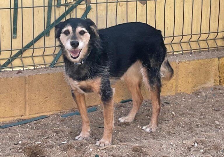 multimedia-foto77290-630-1