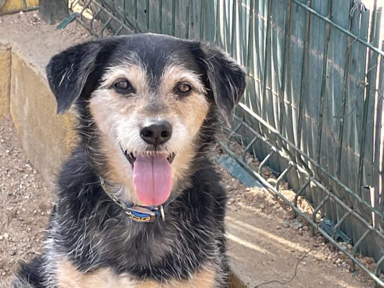 multimedia-foto77291-631-1