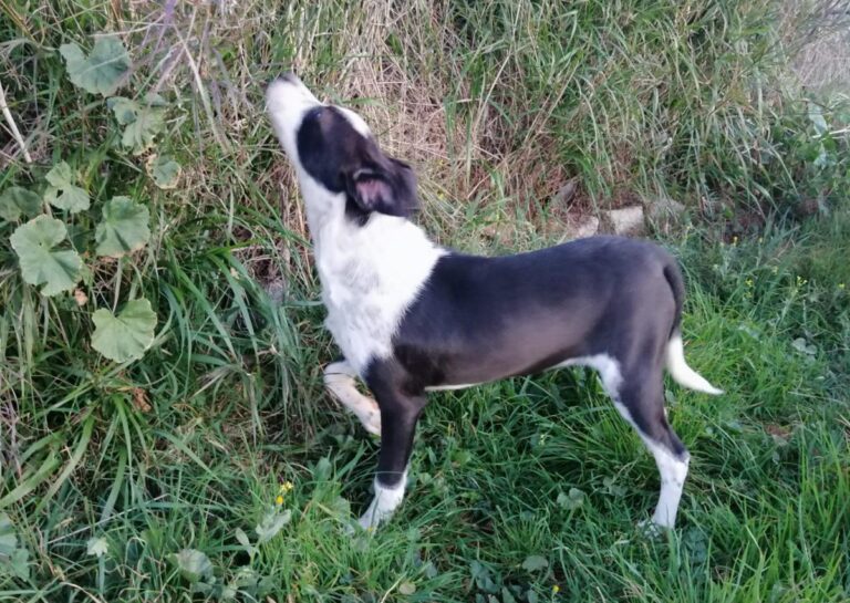 multimedia-foto77314-418-1