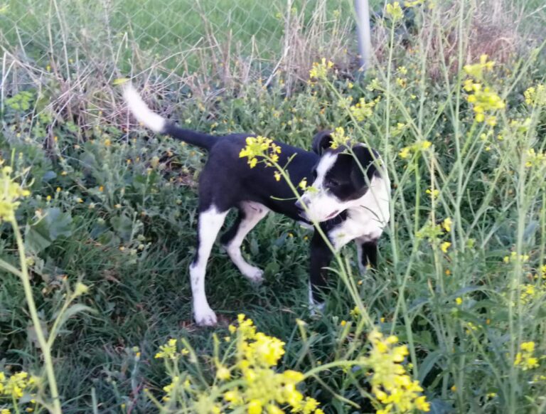 multimedia-foto77315-418-1