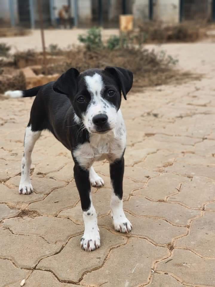 multimedia-foto77316-418-1