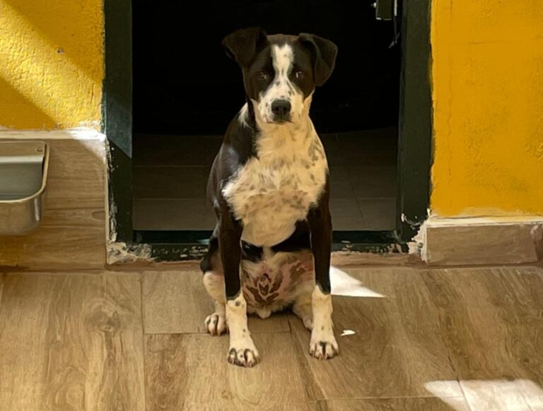 multimedia-foto77317-418-1