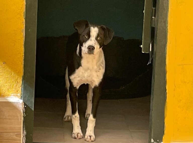 multimedia-foto77318-419-1