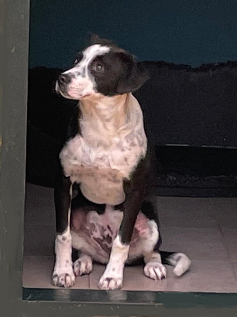 multimedia-foto77319-419-1