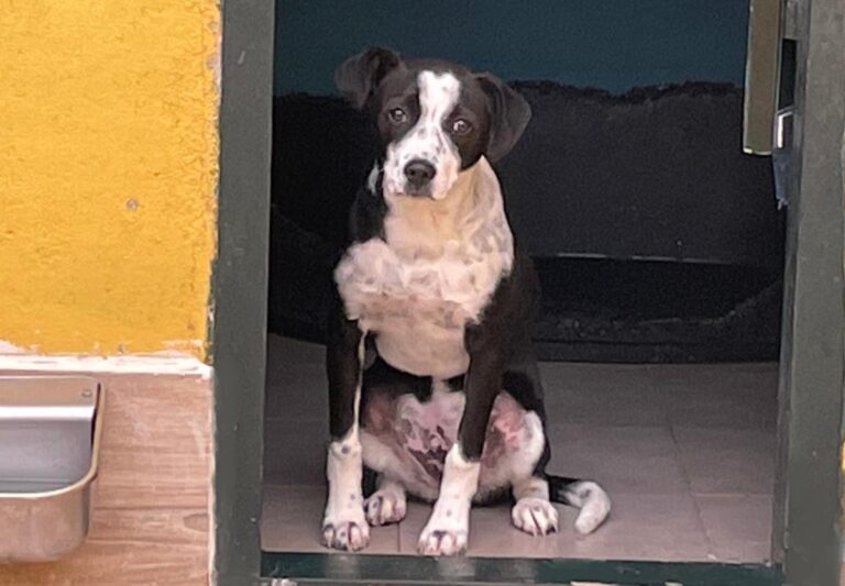 multimedia-foto77320-419-1