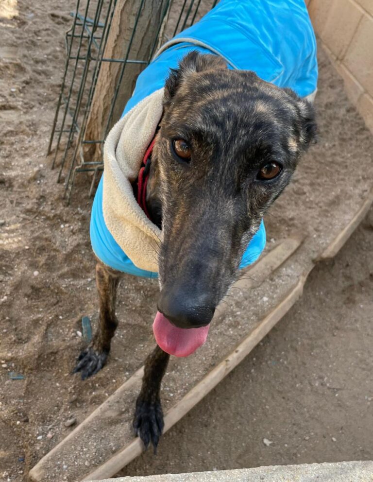 multimedia-foto77343-113-1