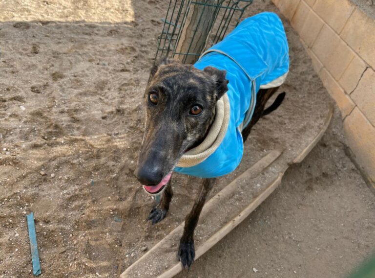 multimedia-foto77344-113-1