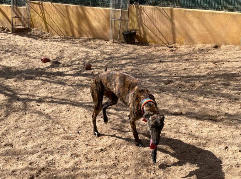 multimedia-foto77345-113-1