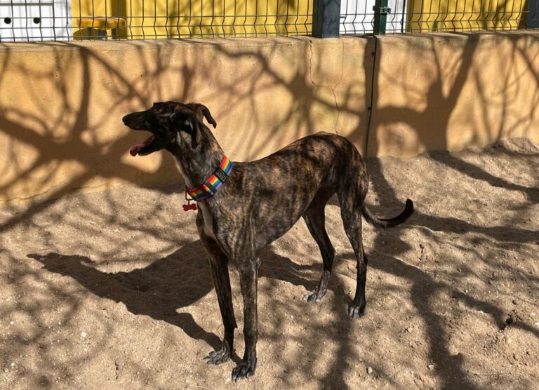 multimedia-foto77346-113-1