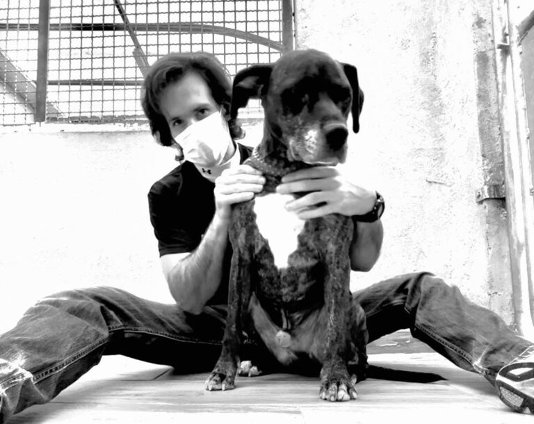 multimedia-foto77357-590-1