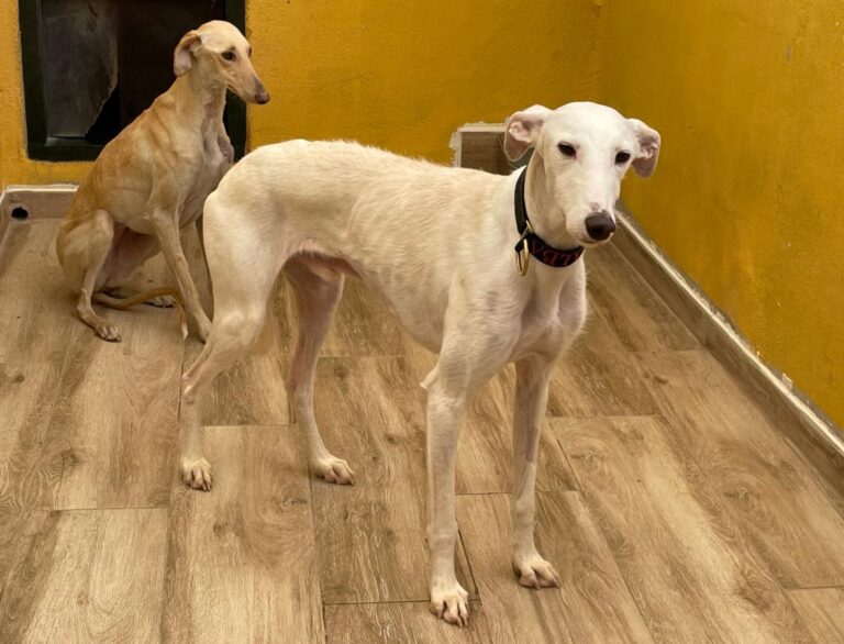 multimedia-foto77361-705-1