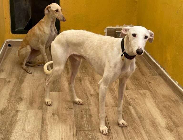 multimedia-foto77362-706-1