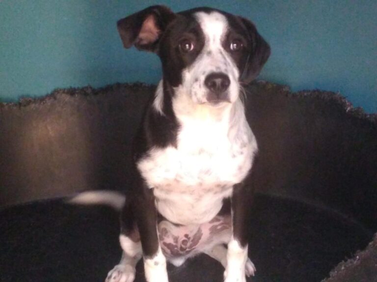 multimedia-foto77378-78-1