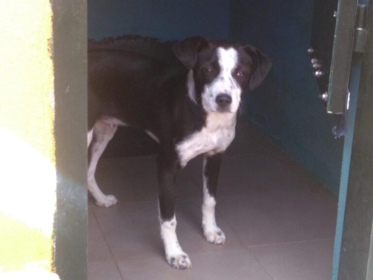 multimedia-foto77379-78-1