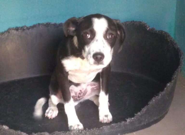 multimedia-foto77380-78-1