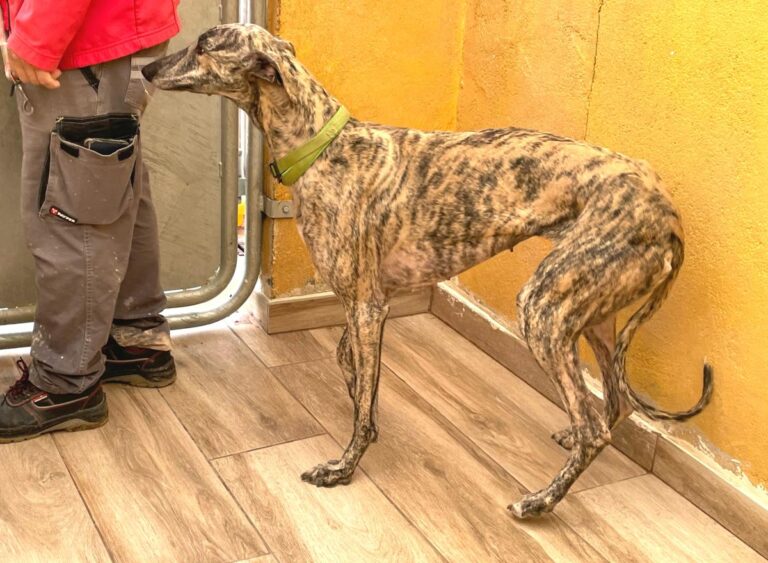 multimedia-foto77420-281-1