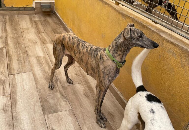 multimedia-foto77421-281-1