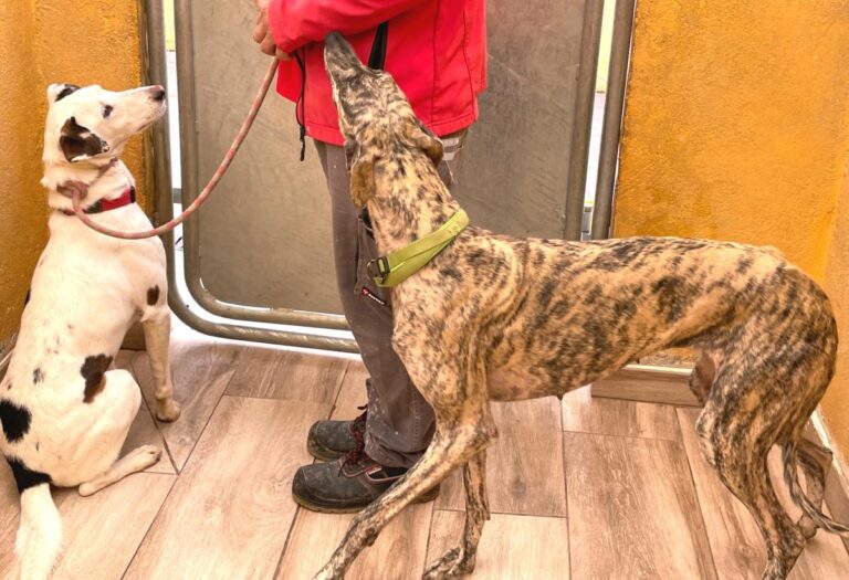 multimedia-foto77422-281-1