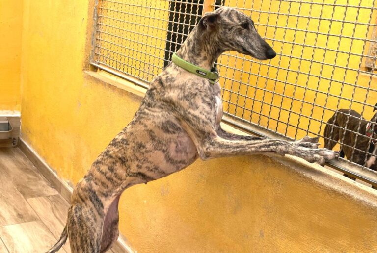 multimedia-foto77423-281-1