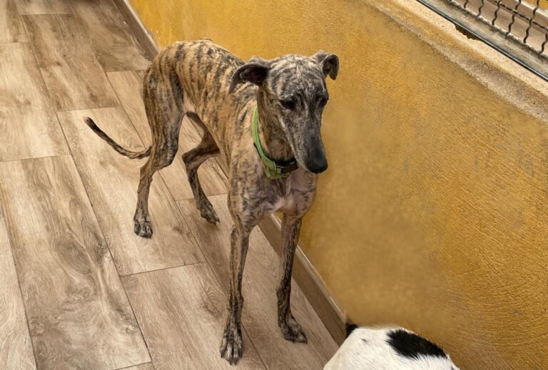 multimedia-foto77424-282-1