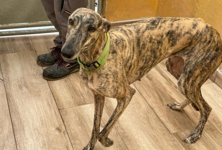 multimedia-foto77426-282-1