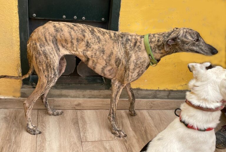 multimedia-foto77427-282-1