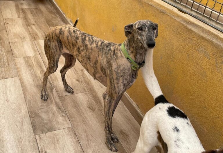 multimedia-foto77428-282-1