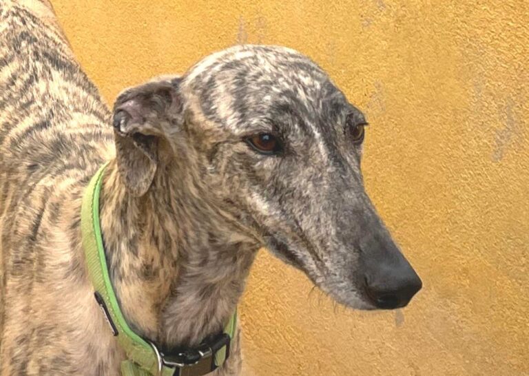 multimedia-foto77429-283-1