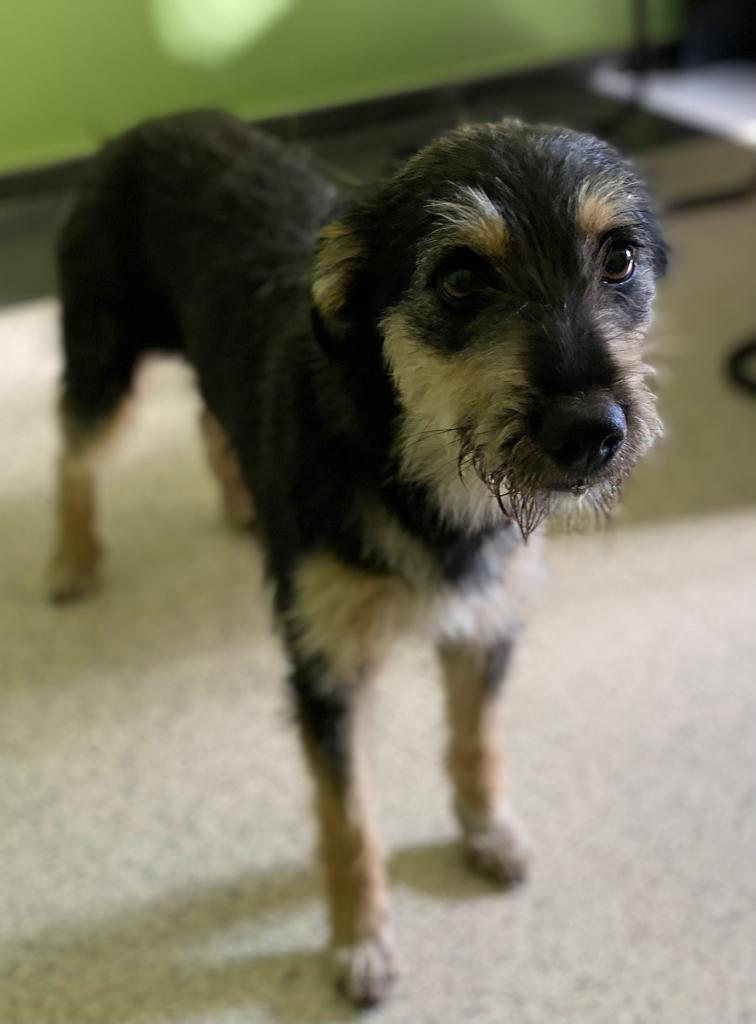 multimedia-foto77468-152-1