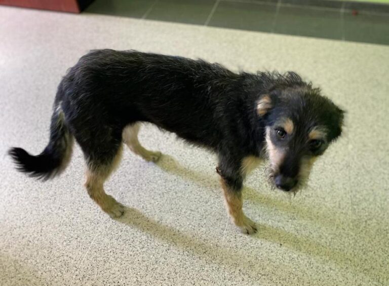 multimedia-foto77470-152-1