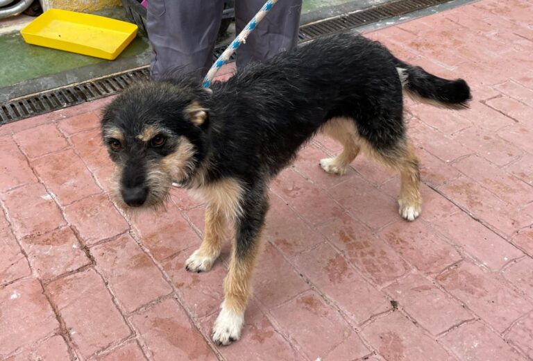 multimedia-foto77471-152-1