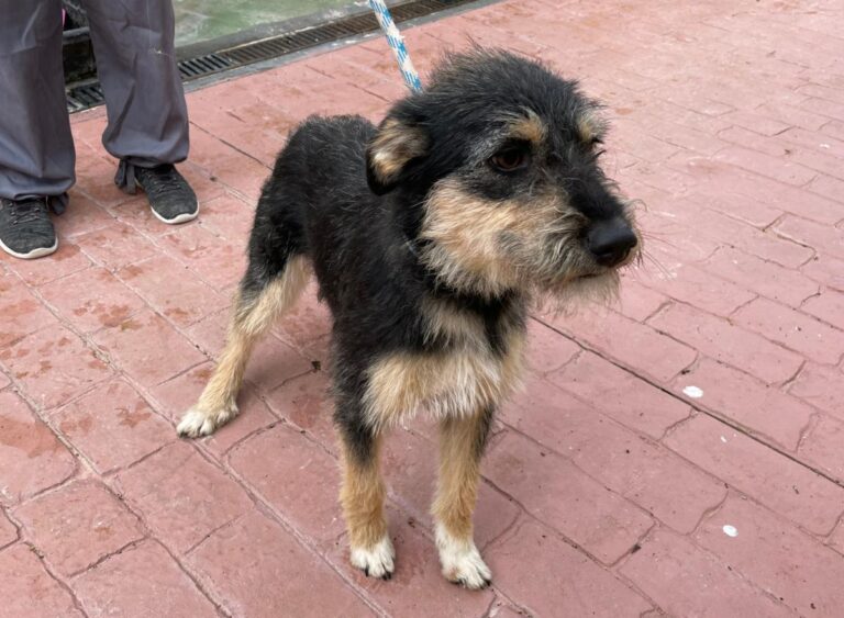 multimedia-foto77472-152-1