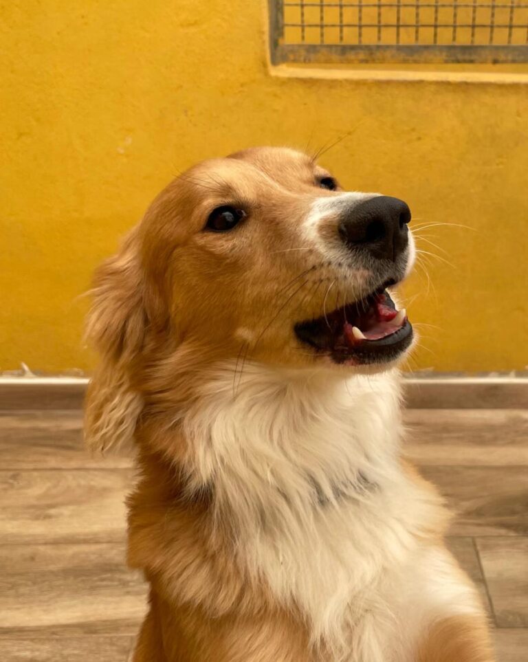 multimedia-foto77479-527-1