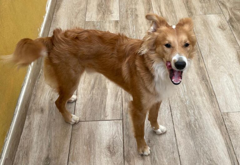 multimedia-foto77481-527-1