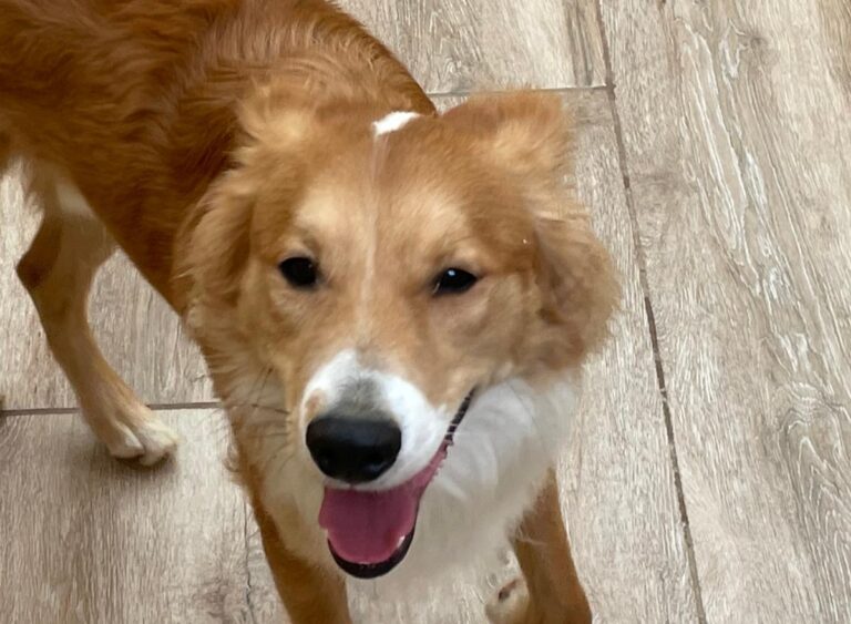 multimedia-foto77482-527-1