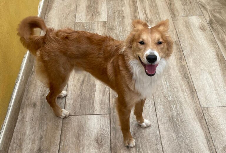 multimedia-foto77483-527-1