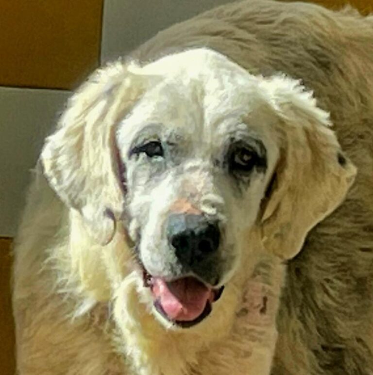 multimedia-foto77485-31-1