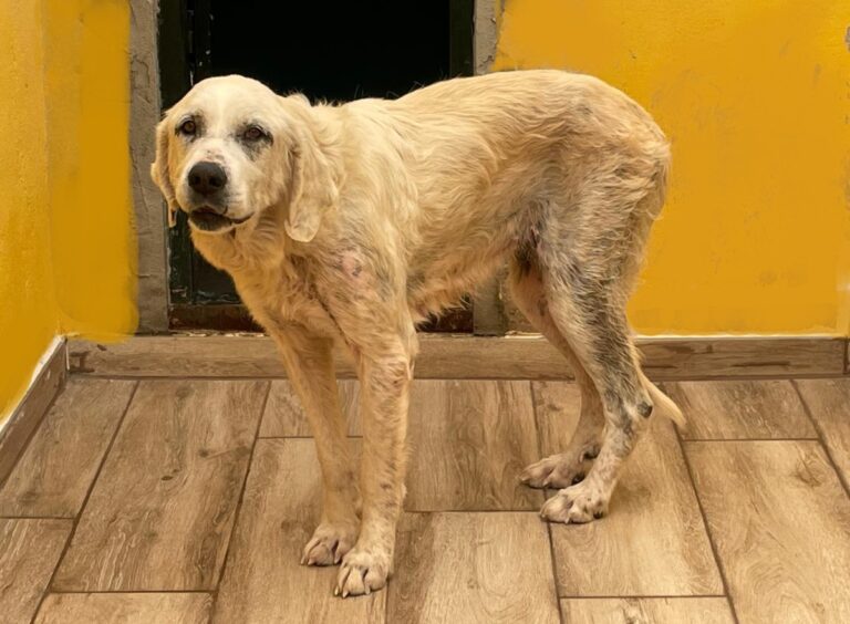 multimedia-foto77489-31-1