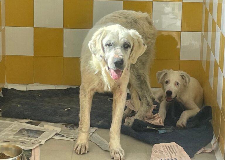 multimedia-foto77493-444-1