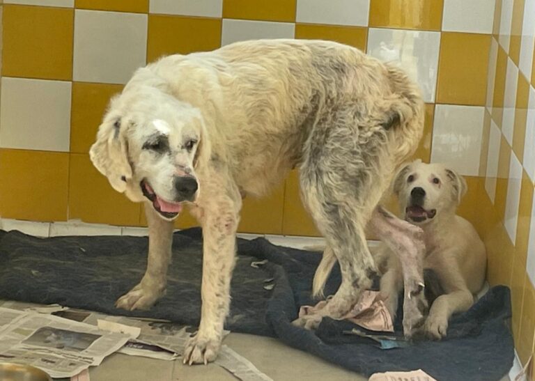 multimedia-foto77494-444-1