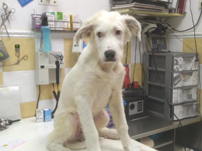 multimedia-foto77496-444-1