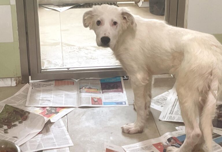 multimedia-foto77500-445-1