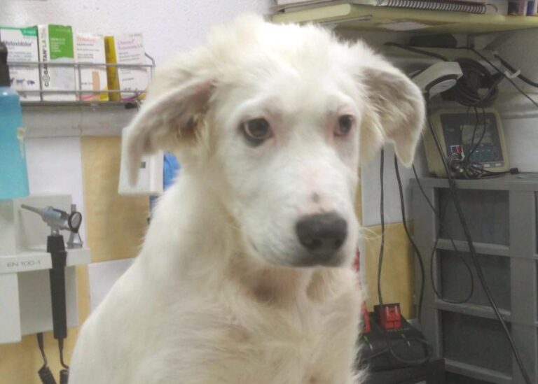 multimedia-foto77501-445-1